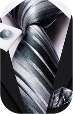 Dubulle Mens Paisely Silk Tie for Men Necktie and Pocket Square Set